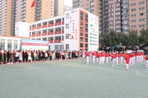 �����������ٰ���Сѧ����֯��ǡ����ȶӸ���Ա��ѵ��