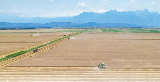 ����ϰ��ƽ��ʱ���й���ɫ�������˼��ָ���¡�����˼��������ʱ���ĸ￪�š�������������֡�����������