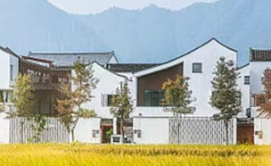 һ����311�������������������������ʵ����