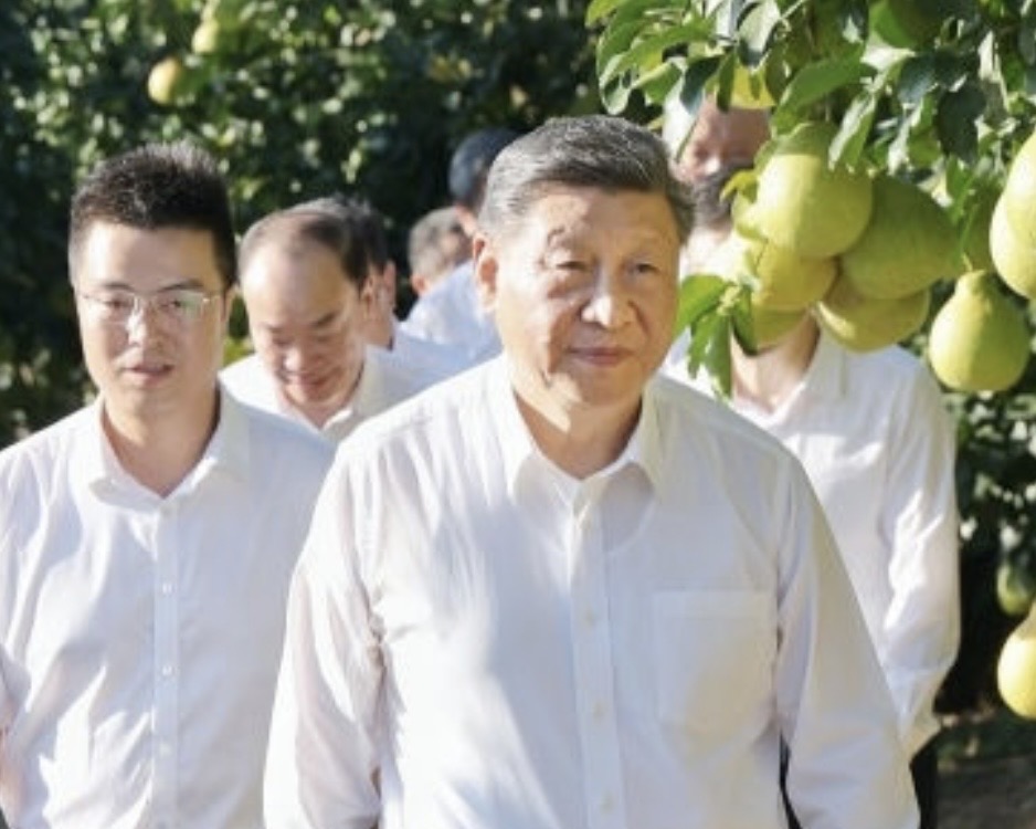 Ƶحǹĵġز ˵ġ롱