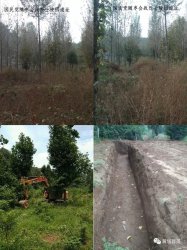 �����������ս�ʿ��ʿ��԰��ַ���ƻ���������ֹ��