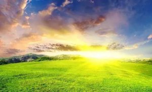 ����ѧϰ�᳹ϰ��ƽ�����ͬ��������һ���쵼���ӳ�Ա����̸��ʱ