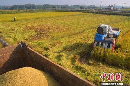 ���������һҳ