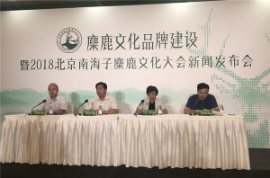 2018�����Ϻ�����¹�Ļ����8��24���ٿ�