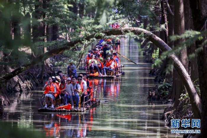 #����ᣩ��3���������ǰ4��ȫ���Ӵ������ο�5.02���˴�