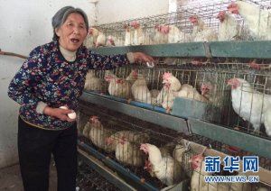 ��Ů�຺��