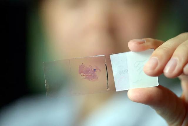 �°��꿪������Щ�¹潫Ӱ����������