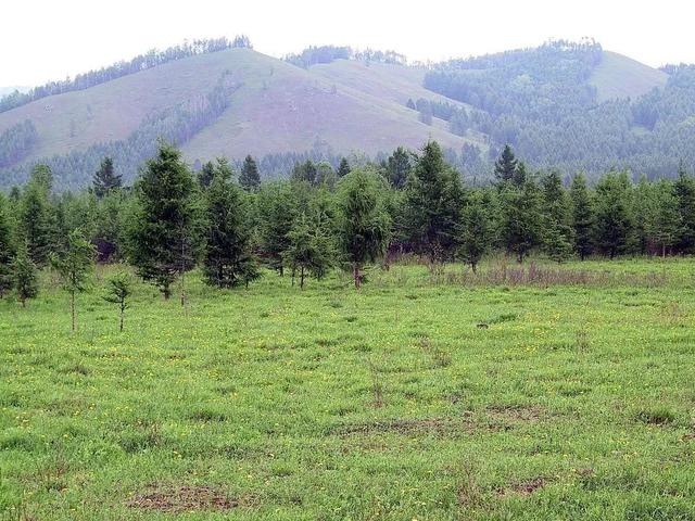 �°��꿪������Щ�¹潫Ӱ����������