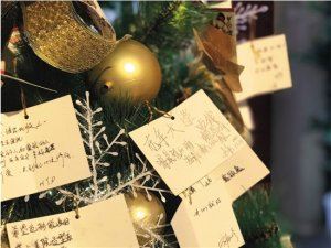 �տ����� �粨֮��