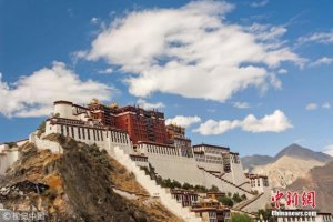 �й��ٷ���������ģ���������ż����ױ�������