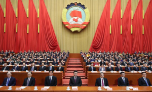 ʮ����ȫ���˴���λ����׳����ŷ�����