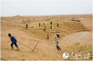 ����˲�ɳ�ֳ�����ɳ������ʮ�� ��������������