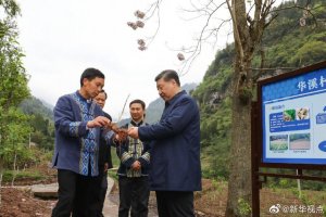 ϰ��ƽ�����쿼�����