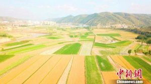 ��ʮ�Ľ�����Ϊɶ��С��û����������