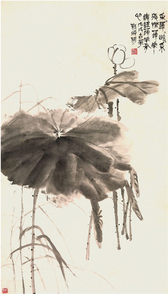 ���˶ ����