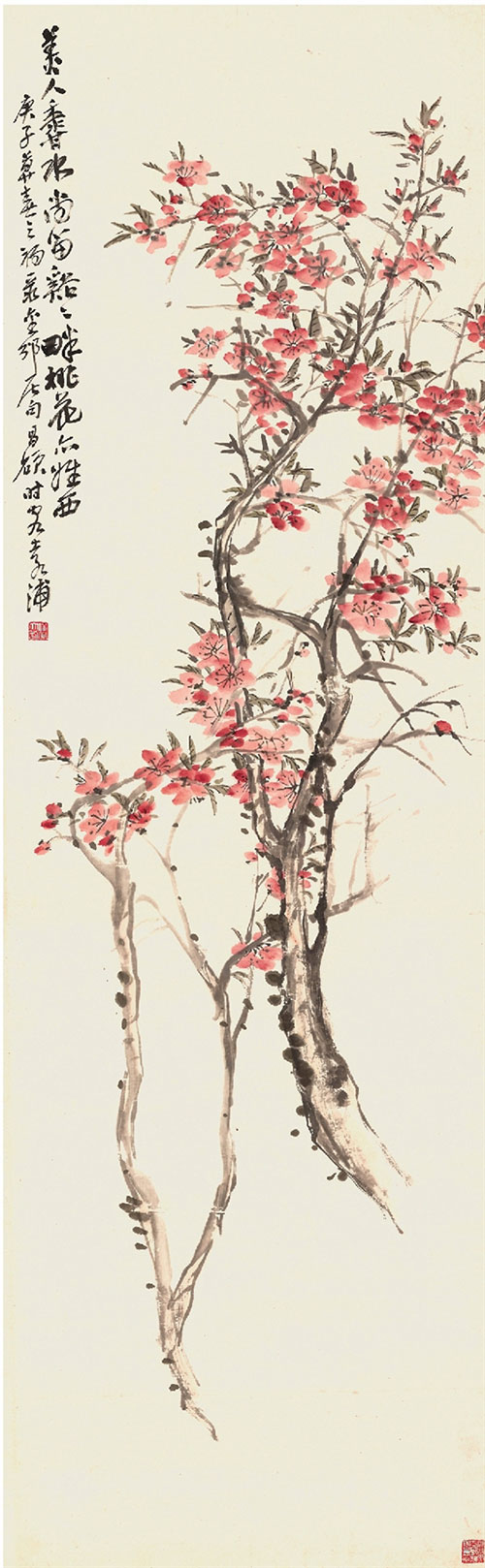 ���˶ ����