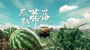 ������Ʒ��¼Ƭ��������䡷�ڰ���������