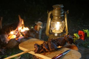 ��¼Ƭ����Ұʳ;������