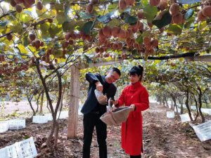 ���Ͱ�ü�ص�⨺��ҡ����￪��