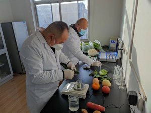 гǹǿǰũƷ ػȺڡϡİȫ