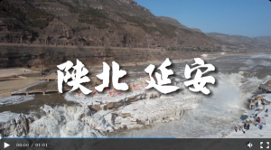 شζŨحӰЩ״ڻ𱬡Ȧ