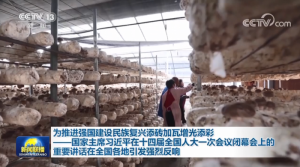 Ϊƽǿ帴שʡϯϰƽʮĽȫ˴һλĻϵҪ