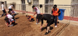 μ�ϻ�����ҩ��Сѧ��չ���Ͷ��������