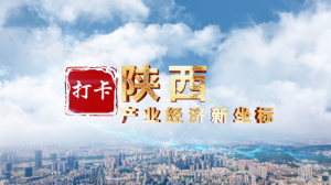 Ӳ�Ƽ���ҵ�ڡ��������桱׷��ǰ��ح��������ҵ����������