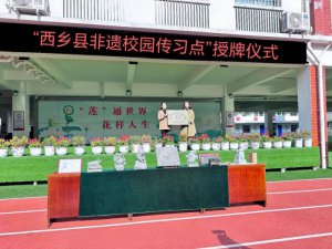 ����������������Сѧ��չ�����š��ߴ�ͳ�Ļ���У԰�