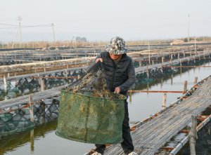 ʮڶءҵƪ | μдأμ̲ Ϻ