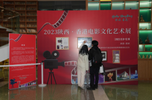 �������� ��Ӱ����  ��۵�Ӱ�Ļ�չ����������Ӱ��Ӱ԰��