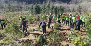 ����ʡ��עɭ�ֻ��ί�Ὺչ����ֲ���