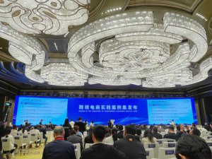 ����7����ѡ�������绥�������羳����ʵ����������2024�꣩������