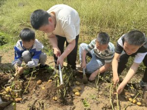 ������������ɳ��������ѧУ��չ�Ͷ�ʵ�������