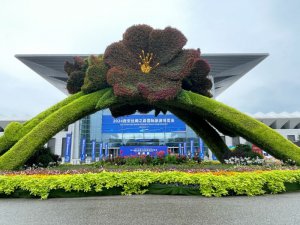 �³����������ѡ������� ���ߴ��������˿·�ò���