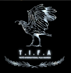 ������¼Ƭ���߽���ҽ�������TIFA-Tiet�� ���ʵ�Ӱ�ڡ�������