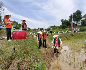 ڵд¡дں硰Ƴعסز