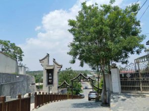 ǵ | ƽϳһ۹εĺõط