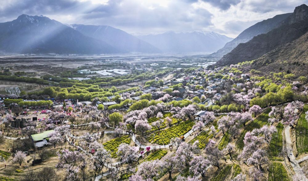 �������һ������˻���Ƭ������������ڴ��ع�·������Ϊ���ء��һ���һ�塱��ͼƬ��Դ �»���