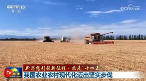 ˼̡Ƿʮ塱ҹũҵũִʵ