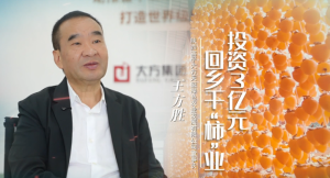 Һҵμ | ʤͶ3Ԫ ɡҵ