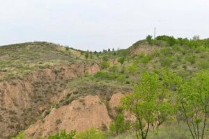 ֺɽֳԼ13ǧֱż ȷжֱо·